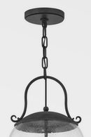 Four Light Pendant<br /><span style="color:#4AB0CE;">Entrega: 4-10 dias en USA</span><br /><span style="color:#4AB0CE;font-size:60%;">PREGUNTE POR ENTREGA EN PANAMA</span><br />Collection: Napa County<br />Finish: French Iron