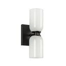Two Light Wall Sconce<br /><span style="color: