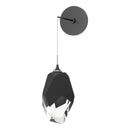 Hubbardton Forge - 201398-SKT-89-BP0755 - LED Wall Sconce - Chrysalis - Ink