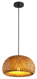 LÁMPARA DE TECHO COLGANTE DECORATIVA 1XE27-40W,110-240V, 50-60HZ, GRADO DE PROTECCION IP20.