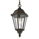 Generation Lighting - 60938-71 - One Light Outdoor Pendant - Bakersville - Antique Bronze