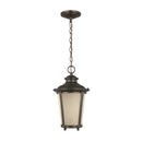 One Light Outdoor Pendant<br /><span style="color:#4AB0CE;">Entrega: 4-10 dias en USA</span><br /><span style="color:#4AB0CE;font-size:60%;">PREGUNTE POR ENTREGA EN PANAMA</span><br />Collection: Cape May<br />Finish: Burled Iron