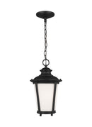 Generation Lighting - 62240EN3-12 - One Light Outdoor Pendant - Cape May - Black