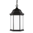 Generation Lighting - 6238751-12 - One Light Outdoor Pendant - Sevier - Black