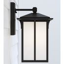 Generation Lighting - 8652701-12 - One Light Outdoor Wall Lantern - Tomek - Black
