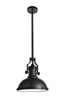 Elegant Lighting - LD5001D13ORB - One Light Pendant - Eamon - Oil Rubbed Bronze