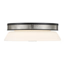 LED Flush Mount<br /><span style="color:#4AB0CE;">Entrega: 4-10 dias en USA</span><br /><span style="color:#4AB0CE;font-size:60%;">PREGUNTE POR ENTREGA EN PANAMA</span><br />Collection: Tauten<br />Finish: Brushed Nickel and Coal Highlights