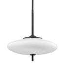 Troy Lighting - F7776-SBK - Two Light Pendant - Fallon - Satin Black/Black Leather