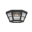 Two Light Flush Mount<br /><span style="color:#4AB0CE;">Entrega: 4-10 dias en USA</span><br /><span style="color:#4AB0CE;font-size:60%;">PREGUNTE POR ENTREGA EN PANAMA</span><br />Collection: Lake County<br />Finish: French Iron