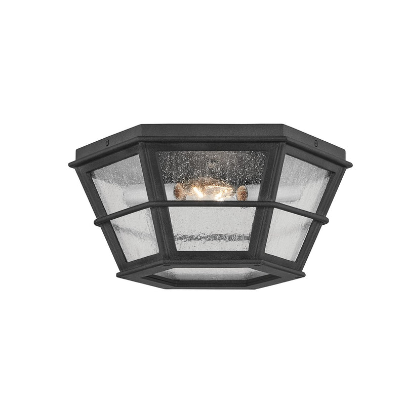 Two Light Flush Mount<br /><span style="color:#4AB0CE;">Entrega: 4-10 dias en USA</span><br /><span style="color:#4AB0CE;font-size:60%;">PREGUNTE POR ENTREGA EN PANAMA</span><br />Collection: Lake County<br />Finish: French Iron