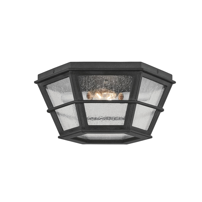 Two Light Flush Mount<br /><span style="color:#4AB0CE;">Entrega: 4-10 dias en USA</span><br /><span style="color:#4AB0CE;font-size:60%;">PREGUNTE POR ENTREGA EN PANAMA</span><br />Collection: Lake County<br />Finish: French Iron