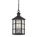 Four Light Outdoor Lantern<br /><span style="color:#4AB0CE;">Entrega: 4-10 dias en USA</span><br /><span style="color:#4AB0CE;font-size:60%;">PREGUNTE POR ENTREGA EN PANAMA</span><br />Collection: Lake County<br />Finish: French Iron