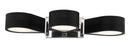 George Kovacs - P5343-572-L - LED Bath - Side Step - Polished Nickel And Coal