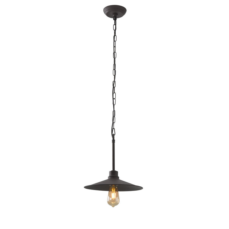 One Light Pendant<br /><span style="color: