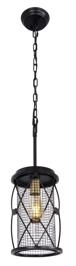 One Light Pendant<br /><span style="color: