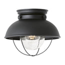 Generation Lighting - 8869-12 - One Light Outdoor Flush Mount - Sebring - Black