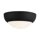 Two Light Flush Mount<br /><span style="color:#4AB0CE;">Entrega: 4-10 dias en USA</span><br /><span style="color:#4AB0CE;font-size:60%;">PREGUNTE POR ENTREGA EN PANAMA</span><br />Collection: Rubio<br />Finish: Matte Black/Opal Matte Glass