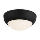 Two Light Flush Mount<br /><span style="color:#4AB0CE;">Entrega: 4-10 dias en USA</span><br /><span style="color:#4AB0CE;font-size:60%;">PREGUNTE POR ENTREGA EN PANAMA</span><br />Collection: Rubio<br />Finish: Matte Black/Opal Matte Glass