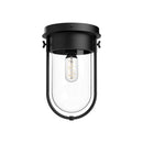 One Light Flush Mount<br /><span style="color:#4AB0CE;">Entrega: 4-10 dias en USA</span><br /><span style="color:#4AB0CE;font-size:60%;">PREGUNTE POR ENTREGA EN PANAMA</span><br />Collection: Cyrus<br />Finish: Clear Glass/Matte Black