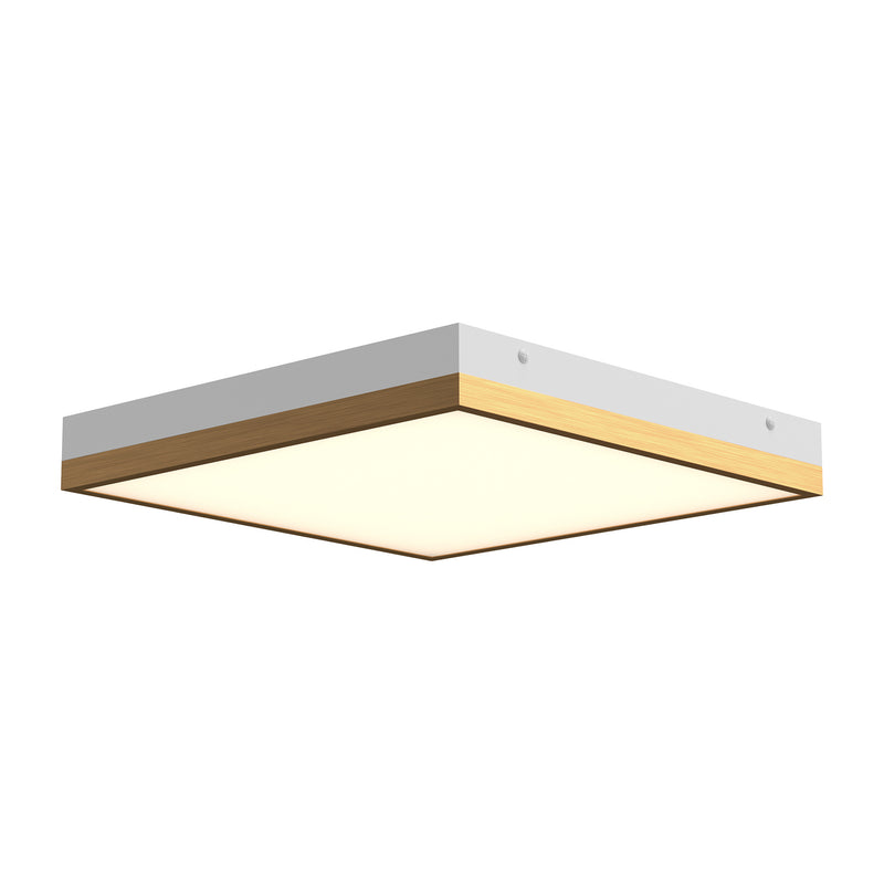 LED Flush Mount<br /><span style="color: