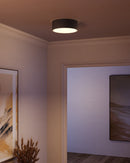 Alora - FM556012MB - Two Light Flush Mount - Brisbane - Matte Black