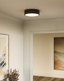 Three Light Flush Mount<br /><span style="color:#4AB0CE;">Entrega: 4-10 dias en USA</span><br /><span style="color:#4AB0CE;font-size:60%;">PREGUNTE POR ENTREGA EN PANAMA</span><br />Collection: Brisbane<br />Finish: Matte Black