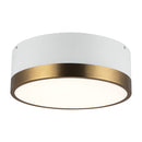 Two Light Flush Mount<br /><span style="color:#4AB0CE;">Entrega: 4-10 dias en USA</span><br /><span style="color:#4AB0CE;font-size:60%;">PREGUNTE POR ENTREGA EN PANAMA</span><br />Collection: Brisbane<br />Finish: Aged Gold/White