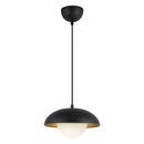 One Light Pendant<br /><span style="color:#4AB0CE;">Entrega: 4-10 dias en USA</span><br /><span style="color:#4AB0CE;font-size:60%;">PREGUNTE POR ENTREGA EN PANAMA</span><br />Collection: Rubio<br />Finish: Matte Black/Opal Matte Glass