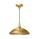 One Light Pendant<br /><span style="color:#4AB0CE;">Entrega: 4-10 dias en USA</span><br /><span style="color:#4AB0CE;font-size:60%;">PREGUNTE POR ENTREGA EN PANAMA</span><br />Collection: Abel<br />Finish: Brushed Gold