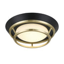 LED Flush Mount<br /><span style="color:#4AB0CE;">Entrega: 4-10 dias en USA</span><br /><span style="color:#4AB0CE;font-size:60%;">PREGUNTE POR ENTREGA EN PANAMA</span><br />Collection: Beam Me Up!<br />Finish: Coal And Satin Brass