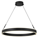 LED Pendant<br /><span style="color:#4AB0CE;">Entrega: 4-10 dias en USA</span><br /><span style="color:#4AB0CE;font-size:60%;">PREGUNTE POR ENTREGA EN PANAMA</span><br />Collection: Recovery X<br />Finish: Coal And Satin Brass