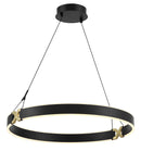 George Kovacs - P5405-689-L - LED Pendant - Recovery X - Coal And Satin Brass