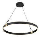 LED Pendant<br /><span style="color:#4AB0CE;">Entrega: 4-10 dias en USA</span><br /><span style="color:#4AB0CE;font-size:60%;">PREGUNTE POR ENTREGA EN PANAMA</span><br />Collection: Recovery X<br />Finish: Coal And Satin Brass