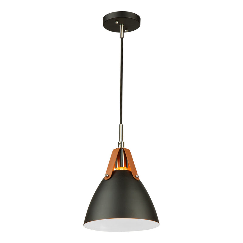 One Light Pendant<br /><span style="color:
