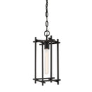 Troy Lighting - F1093-BI - One Light Lantern - Huck - Black Iron