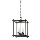 Troy Lighting - F1095-BI - Four Light Lantern - Huck - Black Iron