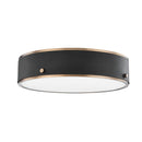 Troy Lighting - C8316-PBR/SFB - LED Flush Mount - Eli - Patina Brass