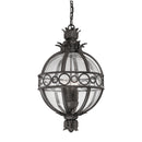 Troy Lighting - F5008-FRN - Three Light Hanging Lantern - Campanile - French Iron
