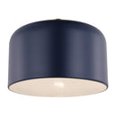 LED Flush Mount<br /><span style="color:#4AB0CE;">Entrega: 4-10 dias en USA</span><br /><span style="color:#4AB0CE;font-size:60%;">PREGUNTE POR ENTREGA EN PANAMA</span><br />Collection: Malone<br />Finish: Navy