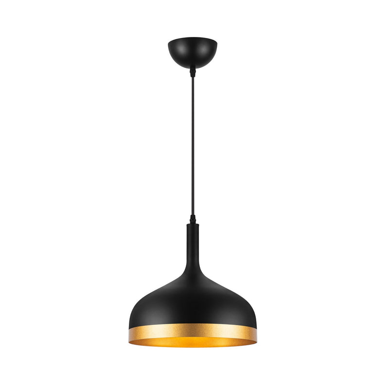 One Light Pendant<br /><span style="color: