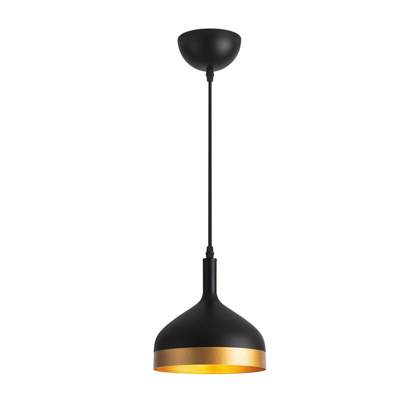 One Light Pendant<br /><span style="color: