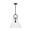 Alora - PD412514MBCL - One Light Pendant - Emerson - Matte Black/Clear Glass