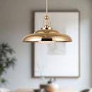 One Light Pendant<br /><span style="color:#4AB0CE;">Entrega: 4-10 dias en USA</span><br /><span style="color:#4AB0CE;font-size:60%;">PREGUNTE POR ENTREGA EN PANAMA</span><br />Collection: Palmetto<br />Finish: Polished Brass/Glossy Opal