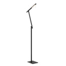 LED Floor Lamp<br /><span style="color:#4AB0CE;">Entrega: 4-10 dias en USA</span><br /><span style="color:#4AB0CE;font-size:60%;">PREGUNTE POR ENTREGA EN PANAMA</span><br />Collection: Task Portables<br />Finish: Anodized Brushed Coal