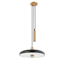 Troy Lighting - F1618-PBR/SBK - LED Pendant - Plummet - Patina Brass