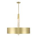 LED Pendant<br /><span style="color:#4AB0CE;">Entrega: 4-10 dias en USA</span><br /><span style="color:#4AB0CE;font-size:60%;">PREGUNTE POR ENTREGA EN PANAMA</span><br />Collection: Drifting Droplets<br />Finish: Brushed Brass