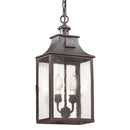 Troy Lighting - F9004-SFB - Two Light Hanging Lantern - Newton - Soft Off Black