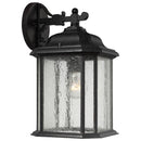 Generation Lighting - 84031-746 - One Light Outdoor Wall Lantern - Kent - Oxford Bronze
