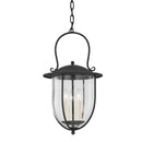 Troy Lighting - F5725-FRN - Three Light Pendant - Monterey County - French Iron