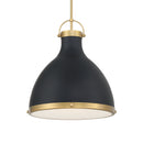 One Light Pendant<br /><span style="color:#4AB0CE;">Entrega: 4-10 dias en USA</span><br /><span style="color:#4AB0CE;font-size:60%;">PREGUNTE POR ENTREGA EN PANAMA</span><br />Collection: Lynk<br />Finish: Dark Matte Black